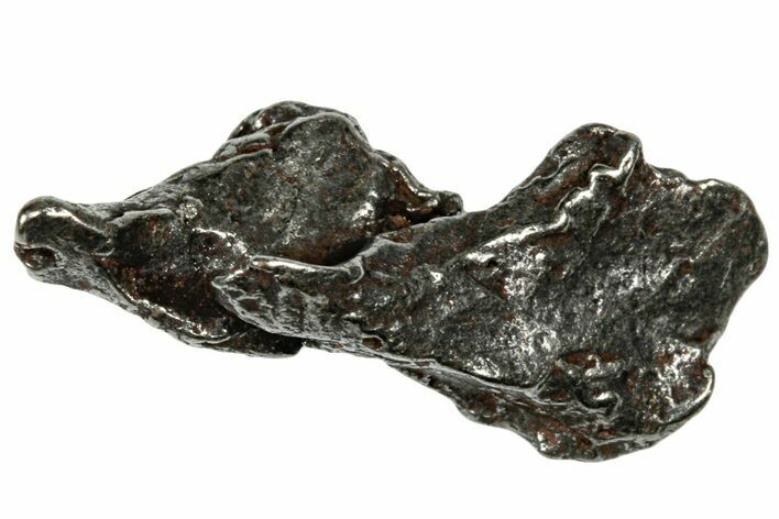 Gebel Kamil Iron Meteorite ( g) - Egypt #302623